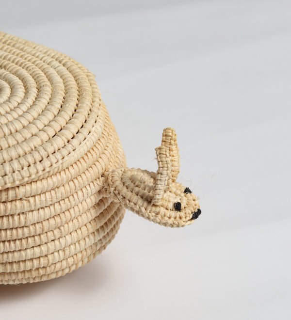 Samburá Tatu - Image 4
